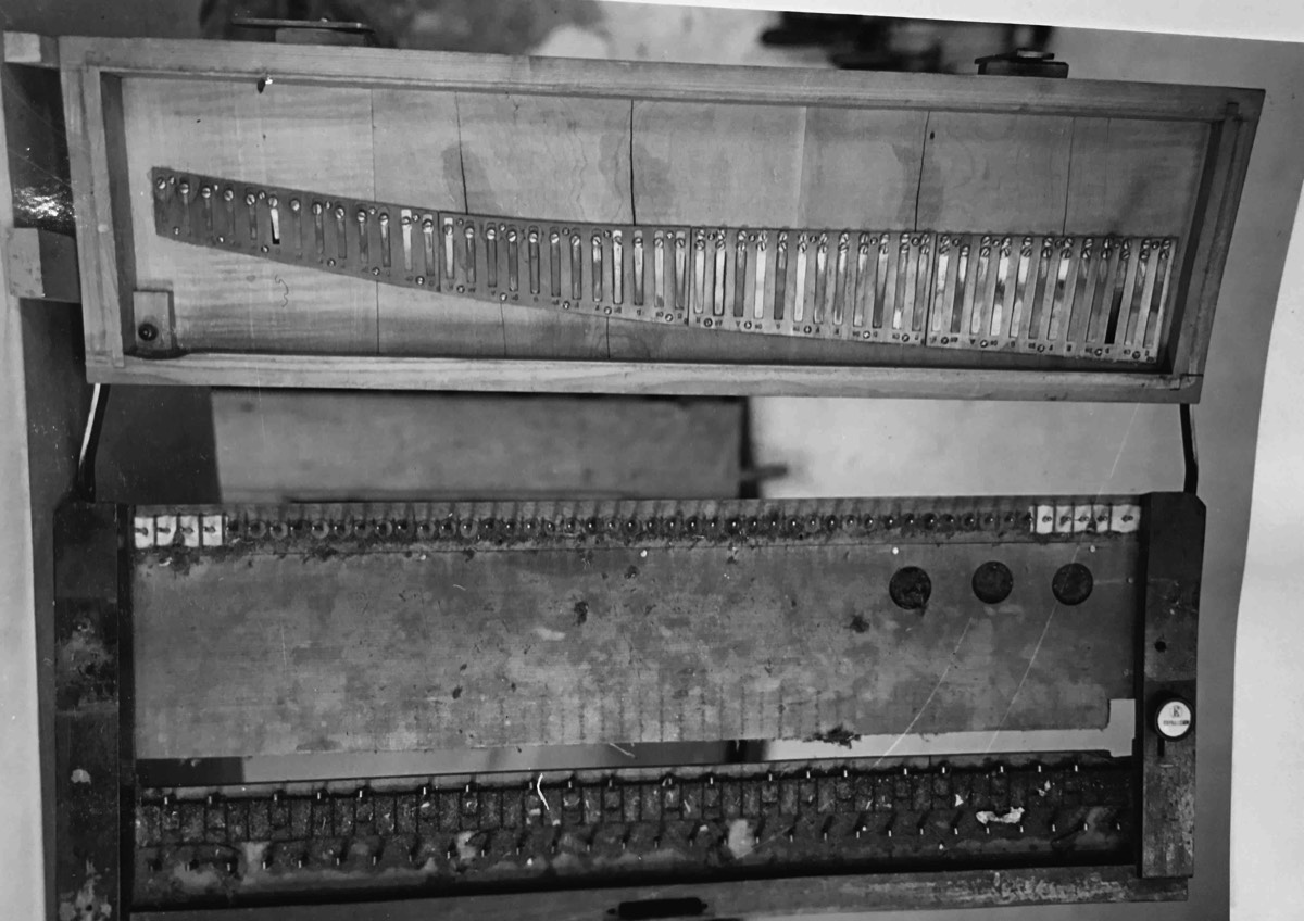 Details Stimmzungen